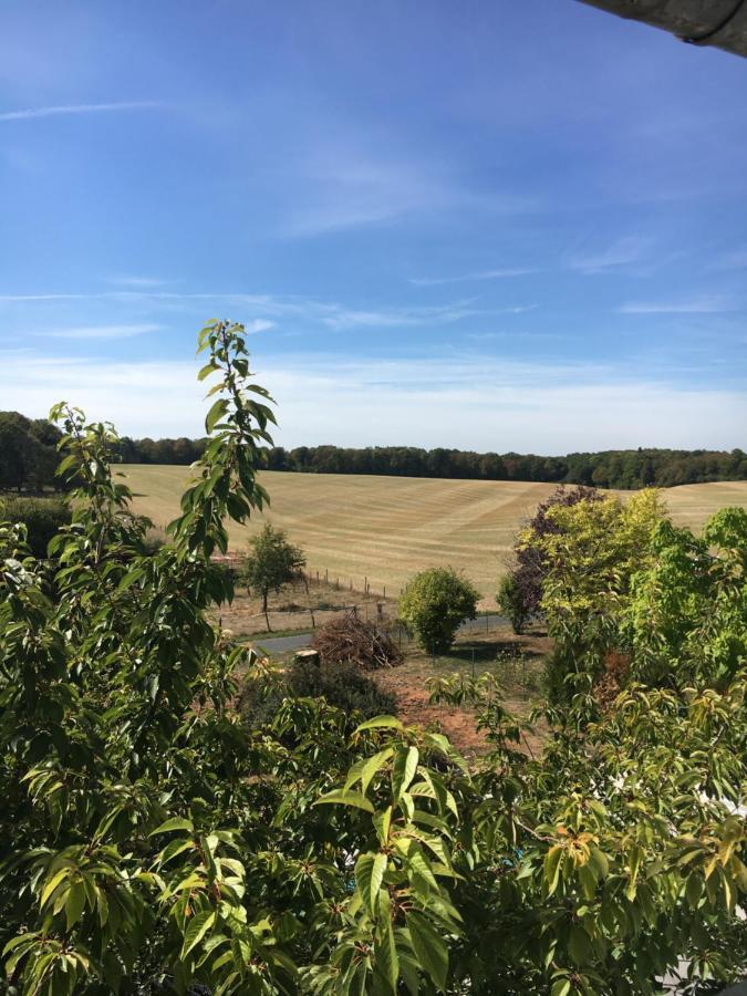 Emel b&b Laville-aux-Bois Luaran gambar